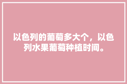 以色列的葡萄多大个，以色列水果葡萄种植时间。 家禽养殖