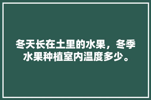 冬天长在土里的水果，冬季水果种植室内温度多少。 畜牧养殖