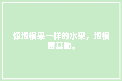 像泡桐果一样的水果，泡桐苗基地。 水果种植