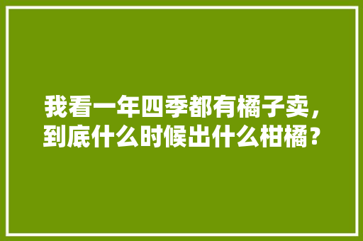 我看一年四季都有橘子卖，到底什么时候出什么柑橘？感觉有点乱？如何区分，某水果种植场今年喜获丰收。 畜牧养殖