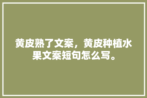 黄皮熟了文案，黄皮种植水果文案短句怎么写。 畜牧养殖