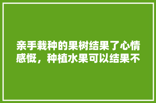 亲手栽种的果树结果了心情感慨，种植水果可以结果不结果吗。 水果种植