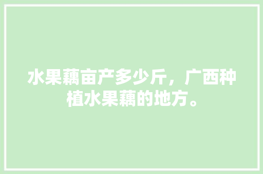 水果藕亩产多少斤，广西种植水果藕的地方。 土壤施肥