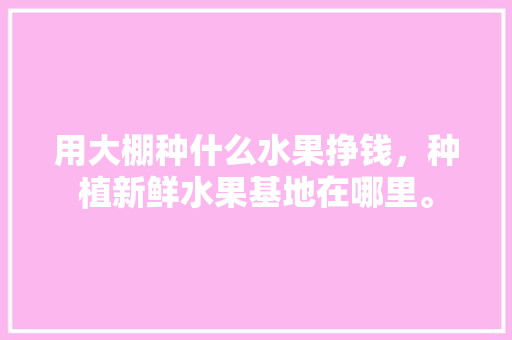 用大棚种什么水果挣钱，种植新鲜水果基地在哪里。 用大棚种什么水果挣钱，种植新鲜水果基地在哪里。 土壤施肥