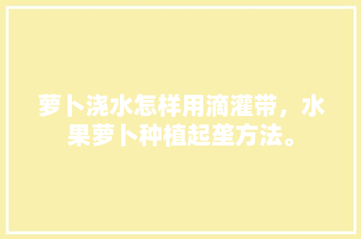 萝卜浇水怎样用滴灌带，水果萝卜种植起垄方法。 土壤施肥