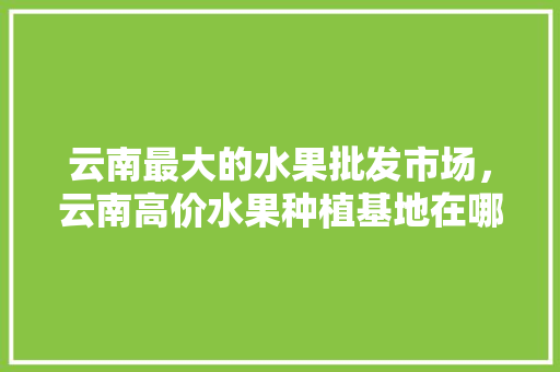 云南最大的水果批发市场，云南高价水果种植基地在哪里。 云南最大的水果批发市场，云南高价水果种植基地在哪里。 土壤施肥