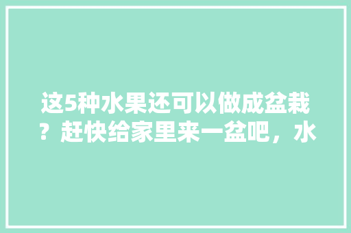 这5种水果还可以做成盆栽？赶快给家里来一盆吧，水果盆栽种植方法大全视频。 畜牧养殖