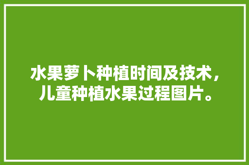 水果萝卜种植时间及技术，儿童种植水果过程图片。 水果萝卜种植时间及技术，儿童种植水果过程图片。 土壤施肥