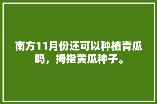 南方11月份还可以种植青瓜吗，拇指黄瓜种子。 南方11月份还可以种植青瓜吗，拇指黄瓜种子。 水果种植