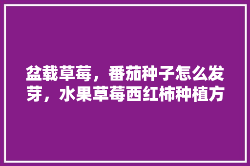 盆载草莓，番茄种子怎么发芽，水果草莓西红柿种植方法。 畜牧养殖