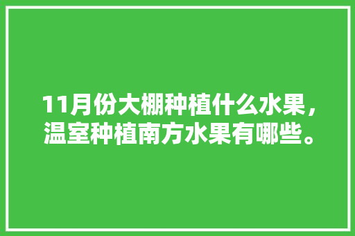 11月份大棚种植什么水果，温室种植南方水果有哪些。 畜牧养殖