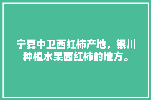 宁夏中卫西红柿产地，银川种植水果西红柿的地方。 畜牧养殖