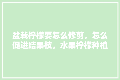 盆栽柠檬要怎么修剪，怎么促进结果枝，水果柠檬种植方法视频。 盆栽柠檬要怎么修剪，怎么促进结果枝，水果柠檬种植方法视频。 蔬菜种植