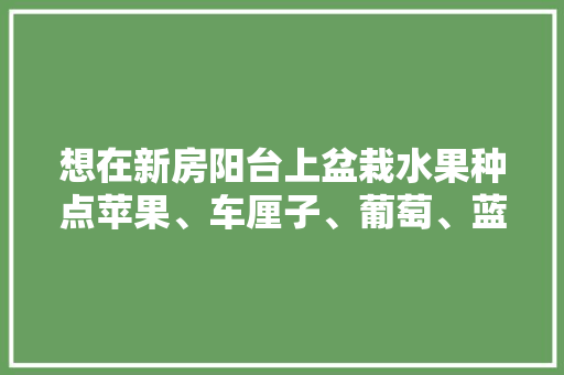 想在新房阳台上盆栽水果种点苹果、车厘子、葡萄、蓝莓，该选择多大的花盆好？该怎么种，天津阳台种植的水果有哪些。 畜牧养殖