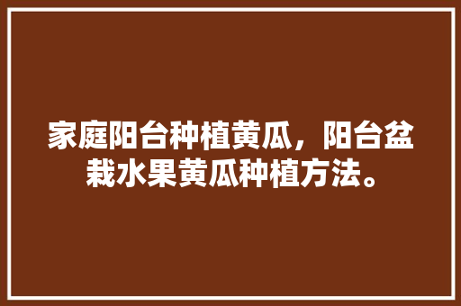 家庭阳台种植黄瓜，阳台盆栽水果黄瓜种植方法。 畜牧养殖