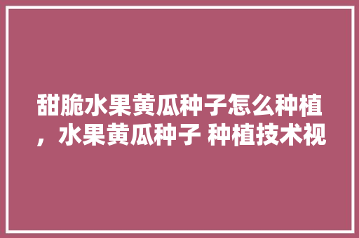 甜脆水果黄瓜种子怎么种植，水果黄瓜种子 种植技术视频。 畜牧养殖