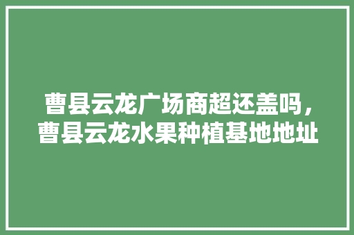 曹县云龙广场商超还盖吗，曹县云龙水果种植基地地址。 家禽养殖