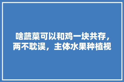 啥蔬菜可以和鸡一块共存，两不耽误，主体水果种植视频讲解。 水果种植