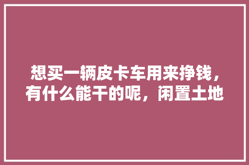 想买一辆皮卡车用来挣钱，有什么能干的呢，闲置土地种植什么水果最好。 畜牧养殖