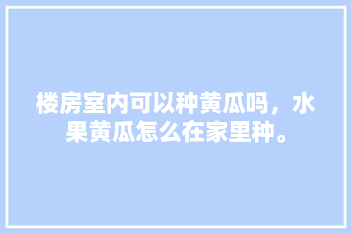 楼房室内可以种黄瓜吗，水果黄瓜怎么在家里种。 楼房室内可以种黄瓜吗，水果黄瓜怎么在家里种。 家禽养殖