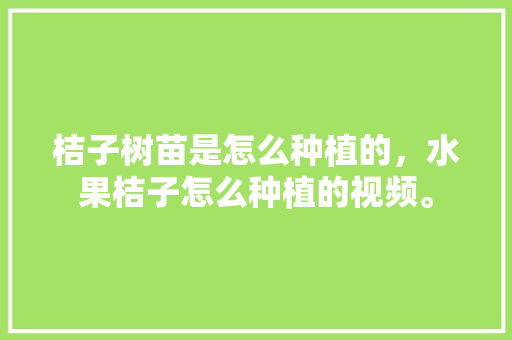 桔子树苗是怎么种植的，水果桔子怎么种植的视频。 水果种植