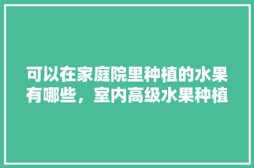 可以在家庭院里种植的水果有哪些，室内高级水果种植图片大全。 土壤施肥