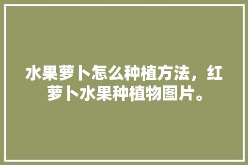 水果萝卜怎么种植方法，红萝卜水果种植物图片。 水果种植