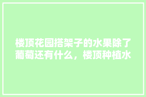 楼顶花园搭架子的水果除了葡萄还有什么，楼顶种植水果园好吗。 水果种植