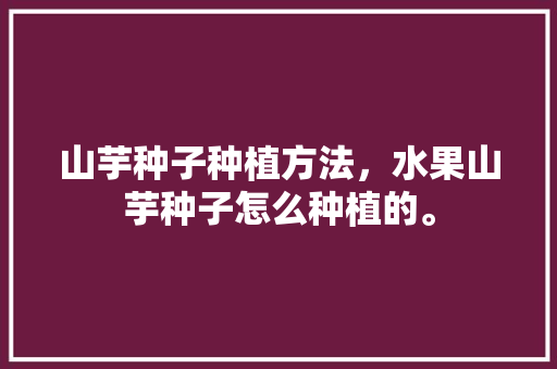 山芋种子种植方法，水果山芋种子怎么种植的。 山芋种子种植方法，水果山芋种子怎么种植的。 蔬菜种植