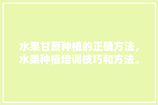 水果甘蔗种植的正确方法，水果种植培训技巧和方法。 水果种植