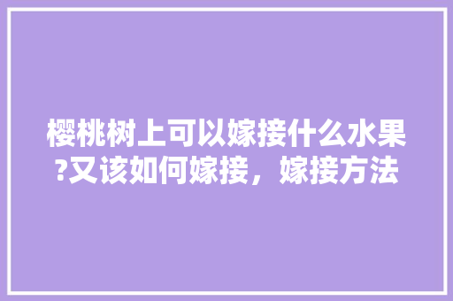 樱桃树上可以嫁接什么水果?又该如何嫁接，嫁接方法水果种植技术。 家禽养殖