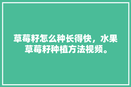 草莓籽怎么种长得快，水果草莓籽种植方法视频。 畜牧养殖