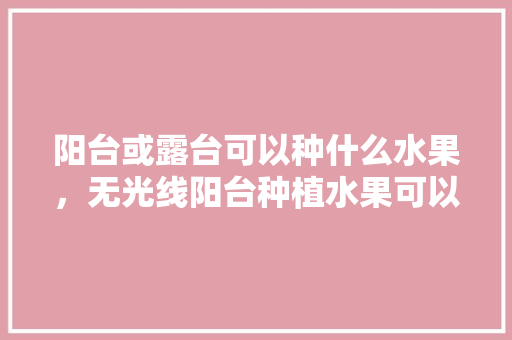 阳台或露台可以种什么水果，无光线阳台种植水果可以吗。 阳台或露台可以种什么水果，无光线阳台种植水果可以吗。 水果种植