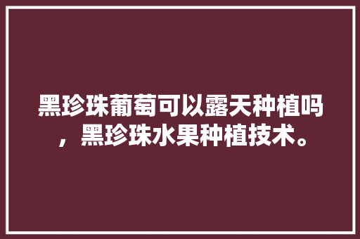 黑珍珠葡萄可以露天种植吗，黑珍珠水果种植技术。 家禽养殖