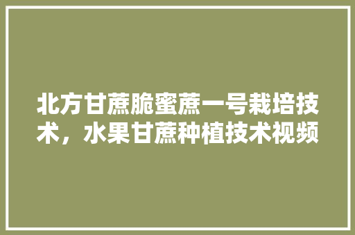 北方甘蔗脆蜜蔗一号栽培技术，水果甘蔗种植技术视频。 水果种植