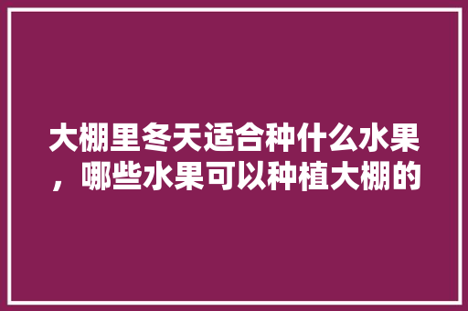 大棚里冬天适合种什么水果，哪些水果可以种植大棚的。 畜牧养殖