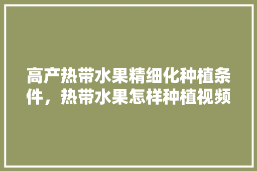 高产热带水果精细化种植条件，热带水果怎样种植视频。 水果种植