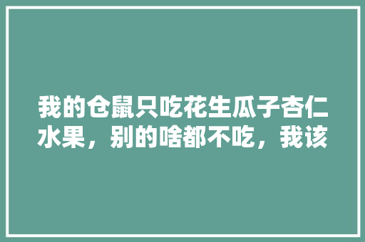 我的仓鼠只吃花生瓜子杏仁水果，别的啥都不吃，我该怎么喂食啊，杏仁种植水果教程图片。 家禽养殖