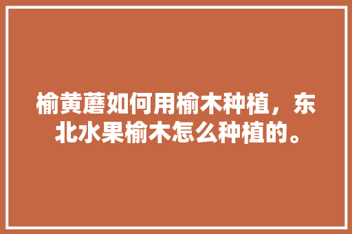 榆黄蘑如何用榆木种植，东北水果榆木怎么种植的。 家禽养殖