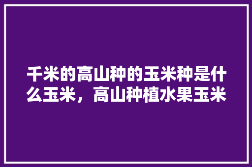 千米的高山种的玉米种是什么玉米，高山种植水果玉米好吗。 畜牧养殖