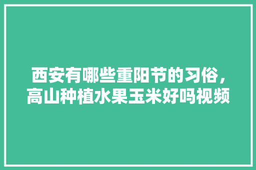 西安有哪些重阳节的习俗，高山种植水果玉米好吗视频。 畜牧养殖