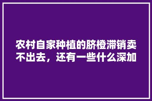 农村自家种植的脐橙滞销卖不出去，还有一些什么深加工的办法来解决，请网友们支支招，橙果的种植与管理技术。 农村自家种植的脐橙滞销卖不出去，还有一些什么深加工的办法来解决，请网友们支支招，橙果的种植与管理技术。 水果种植