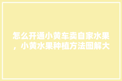 怎么开通小黄车卖自家水果，小黄水果种植方法图解大全。 家禽养殖