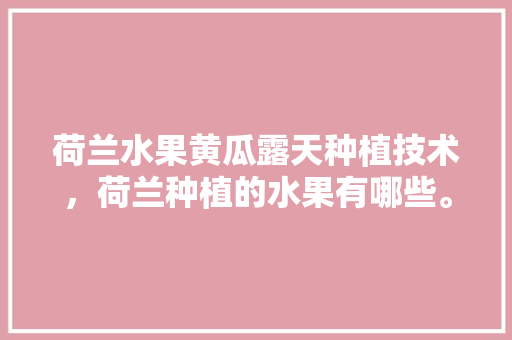 荷兰水果黄瓜露天种植技术，荷兰种植的水果有哪些。 水果种植