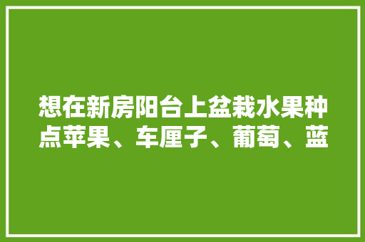 想在新房阳台上盆栽水果种点苹果、车厘子、葡萄、蓝莓，该选择多大的花盆好？该怎么种，阳台水果种植区域图片大全。 畜牧养殖