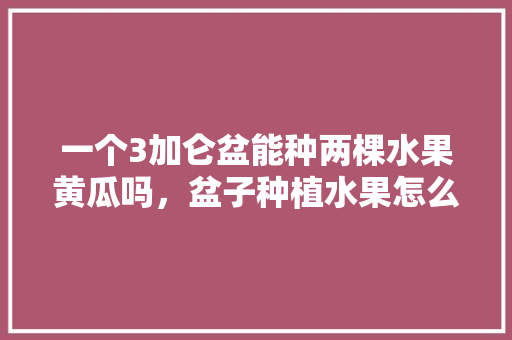 一个3加仑盆能种两棵水果黄瓜吗，盆子种植水果怎么种。 畜牧养殖