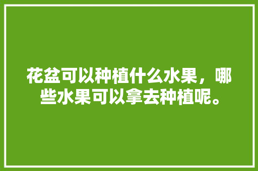 花盆可以种植什么水果，哪些水果可以拿去种植呢。 土壤施肥