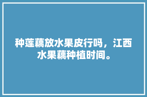 种莲藕放水果皮行吗，江西水果藕种植时间。 畜牧养殖