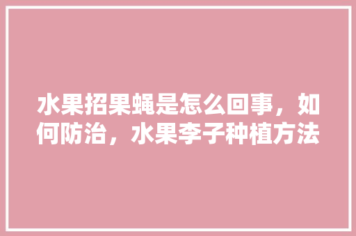 水果招果蝇是怎么回事，如何防治，水果李子种植方法。 土壤施肥