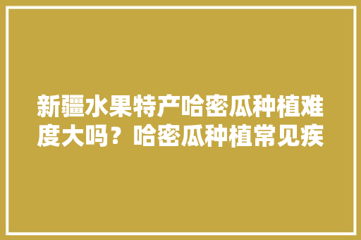 新疆水果特产哈密瓜种植难度大吗？哈密瓜种植常见疾病有哪些，新疆外来水果种植基地有哪些。 家禽养殖